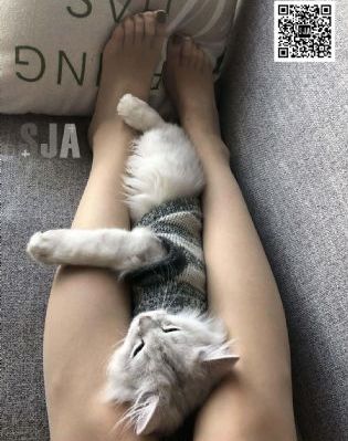 爱在哈弗_蓝光全集免费播放